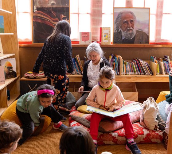 Biblioteca Iris
