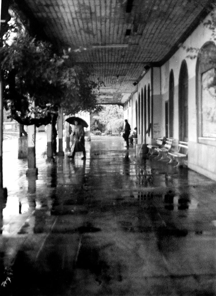 Exposición de Julia Toro 