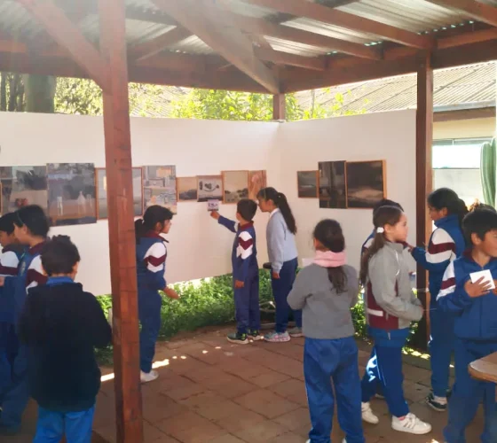 Patio Aguacoya : exposiciones